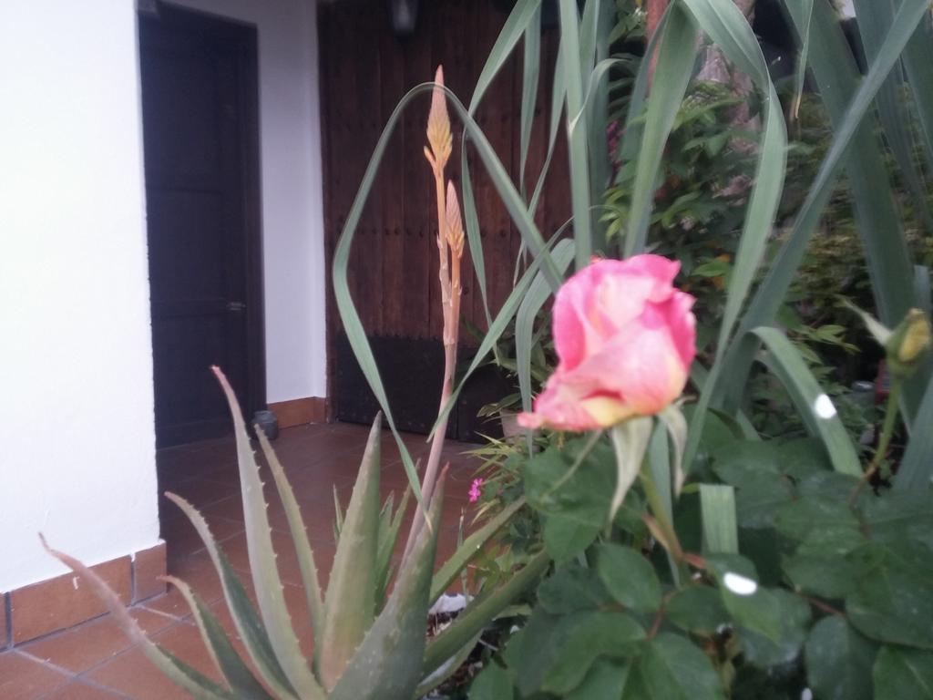 Balcon Del Velillos-"Rincon De Marcelo" Tozar Екстер'єр фото